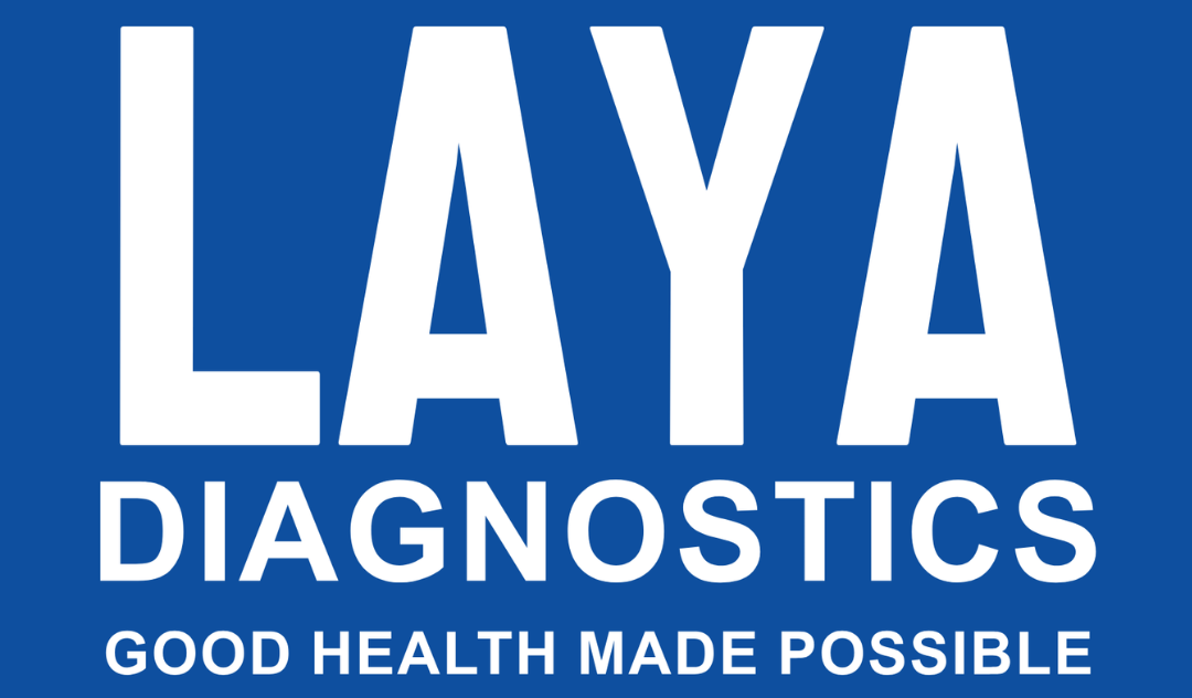 layadxlogo